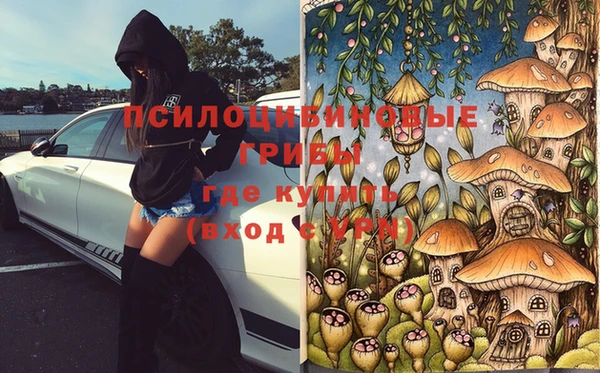 гидропоника Алексеевка