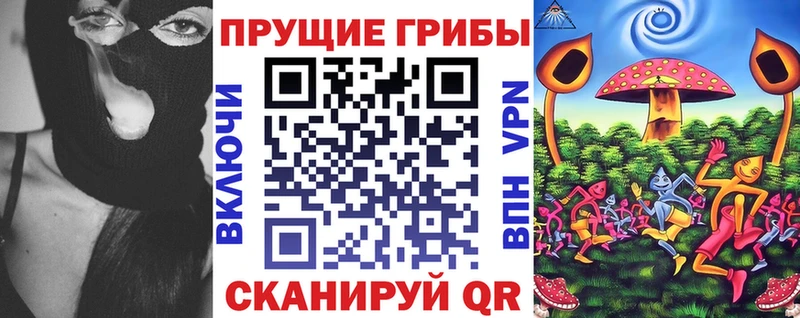 Псилоцибиновые грибы Psilocybe  Верхняя Салда 