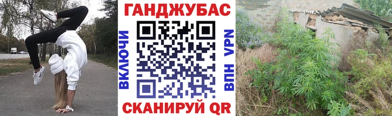 Конопля сатива  MEGA ONION  Верхняя Салда 